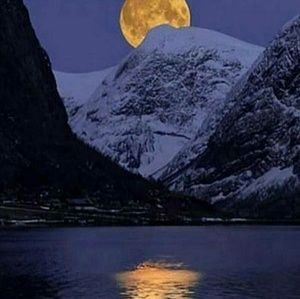 Meet your Posher, Joni